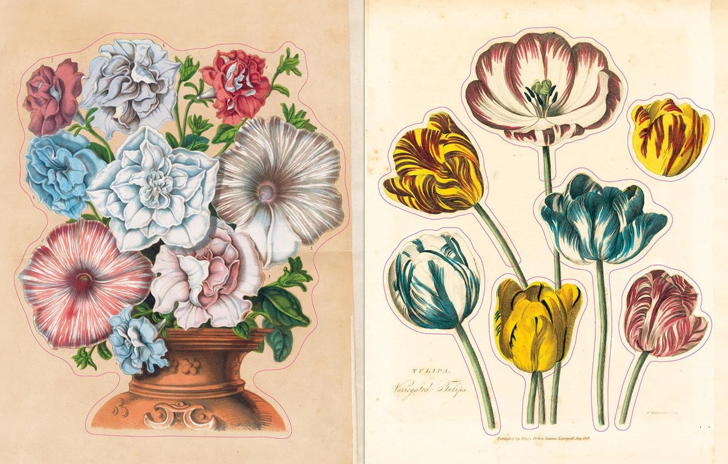 John Derian book