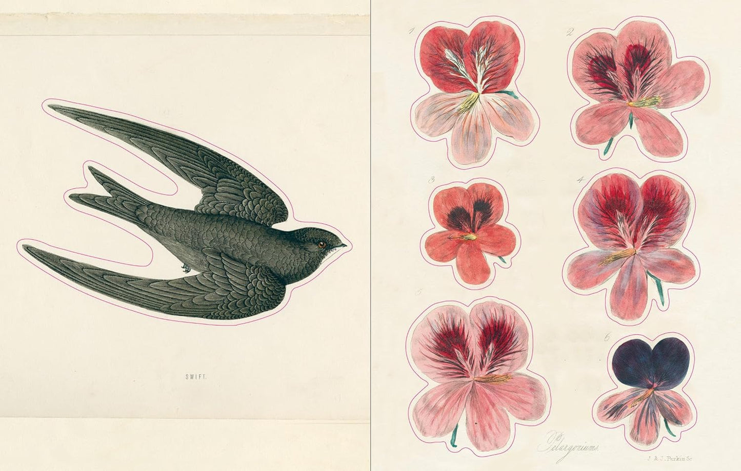 John Derian sticker book