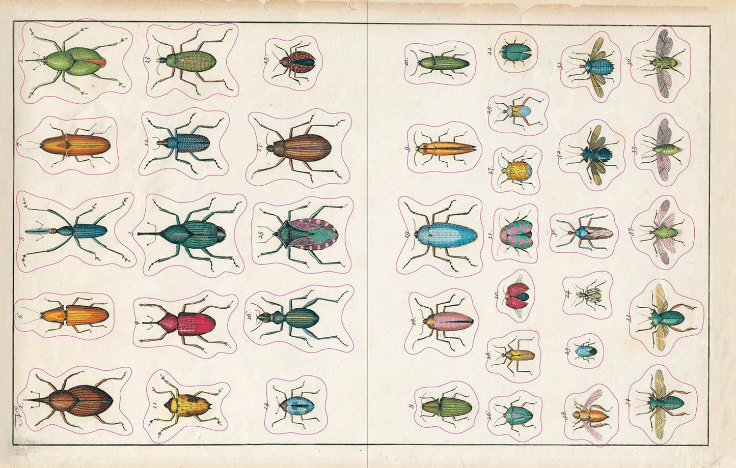John Derian book