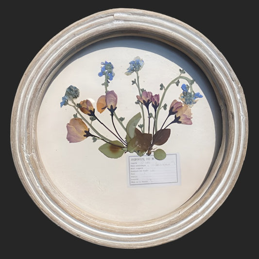 Floral Wall Art