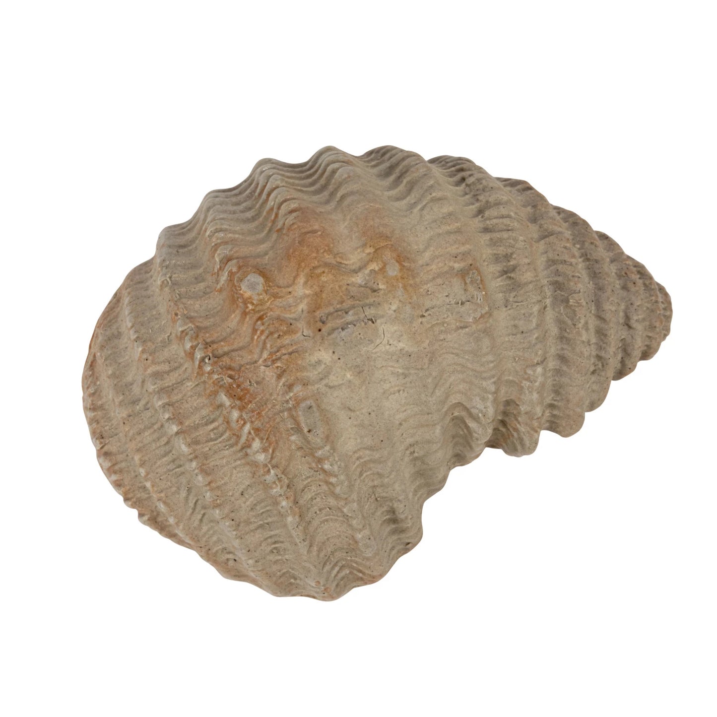 Stoneware Ostreidae Dish