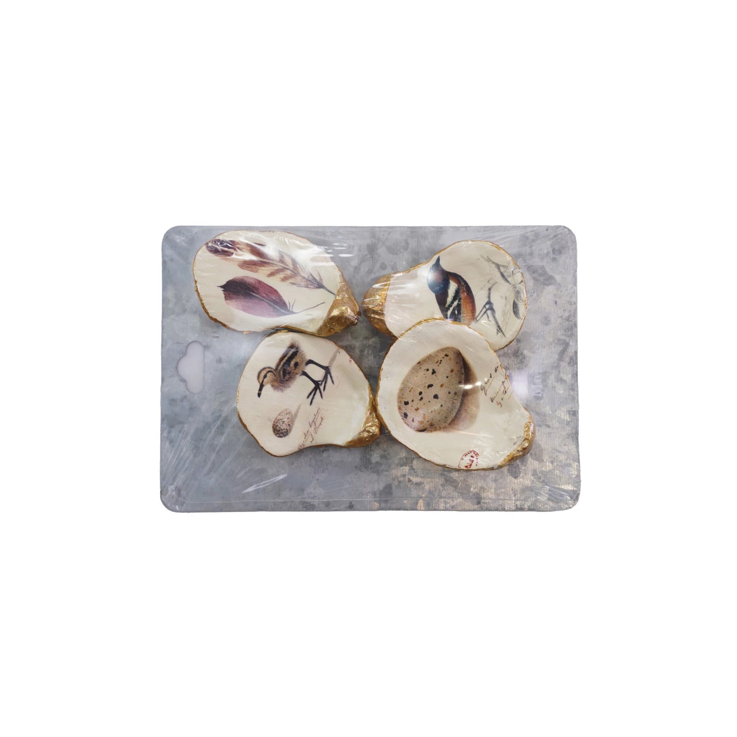 Set of 4 Artisan Oyster Shell Magnets - 2 Styles