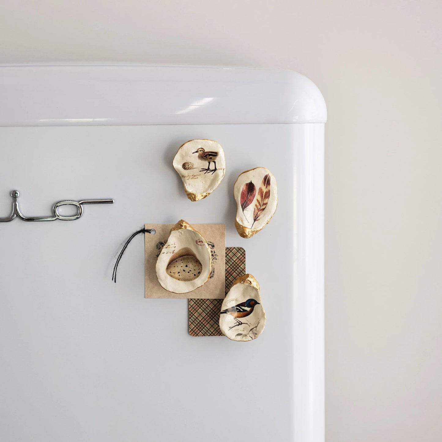 Set of 4 Artisan Oyster Shell Magnets - 2 Styles
