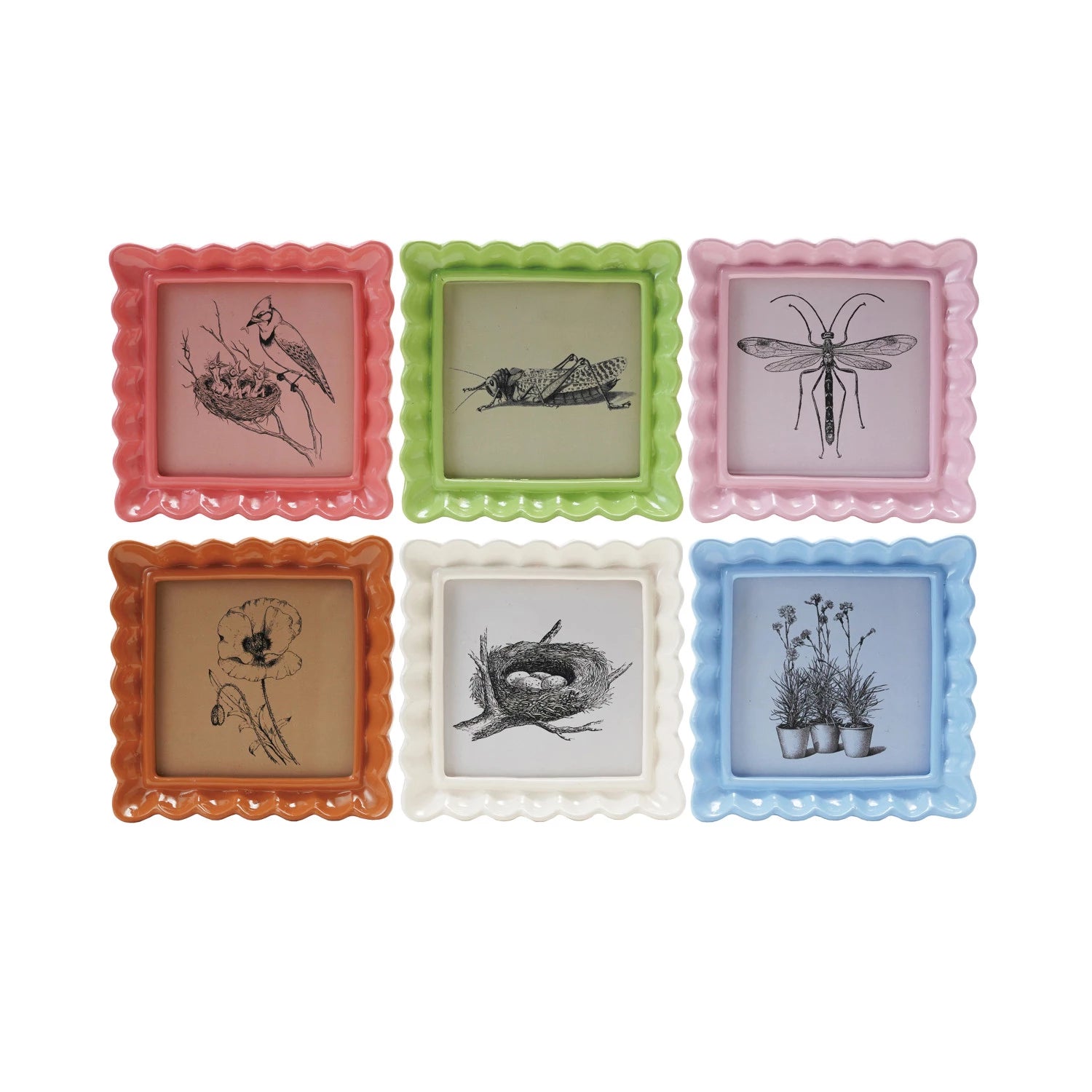 Ruffled Photo Frame (6 colors) – SeaglassHome