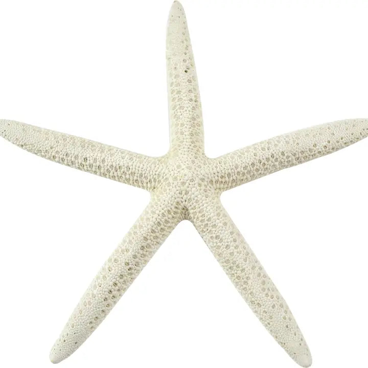 Decorative Starfish